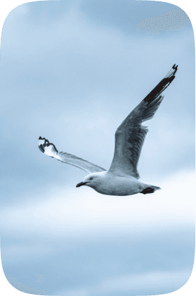 image0