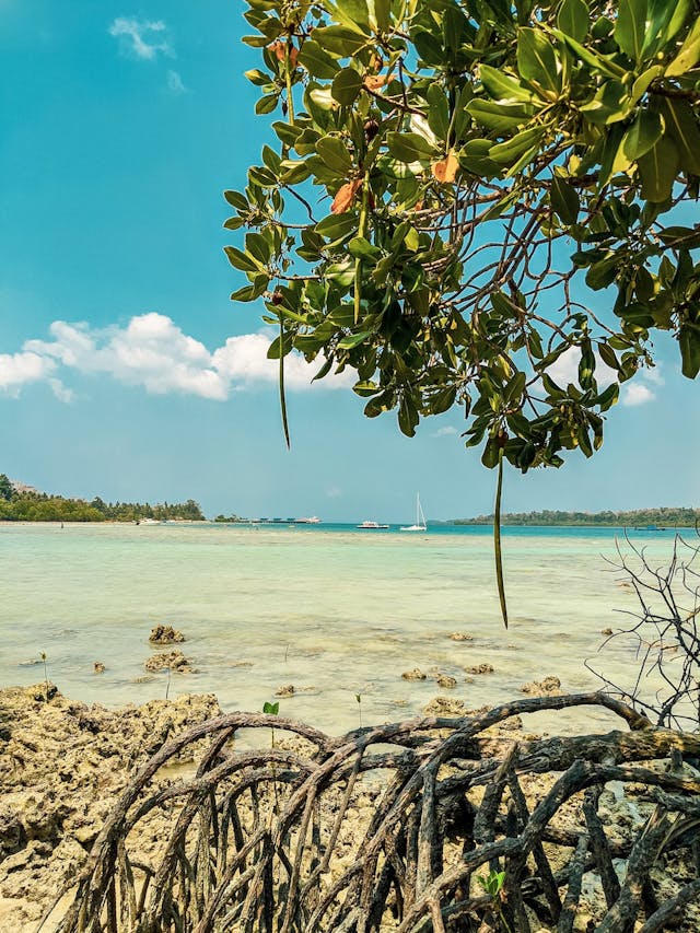 How to plan a perfect vacation in the Andamans