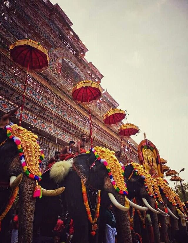 Thrissur Pooram Thrissur Pooram