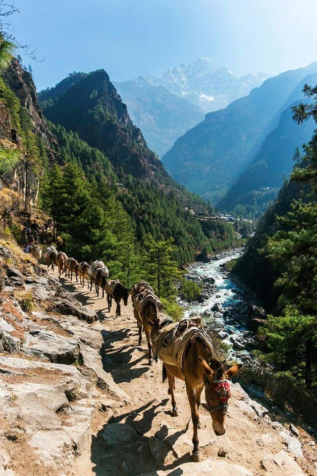 Top summer destinations in India Top summer destinations in India