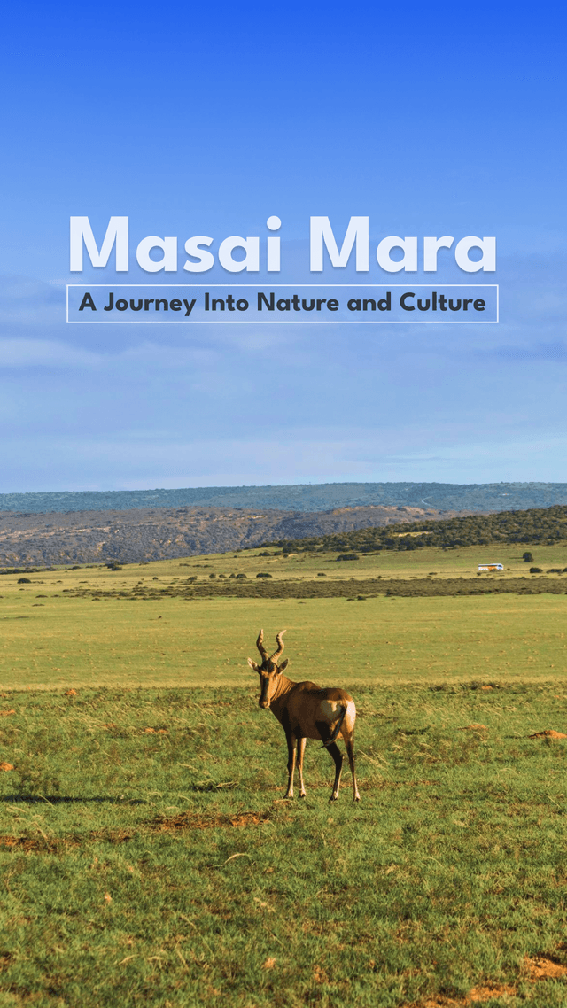 Masai Mara: A Journey into Nature, Wildlife & Culture Masai Mara savannah landscape with a lone antelope under a clear blue sky.