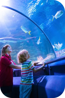 Children at aquarium